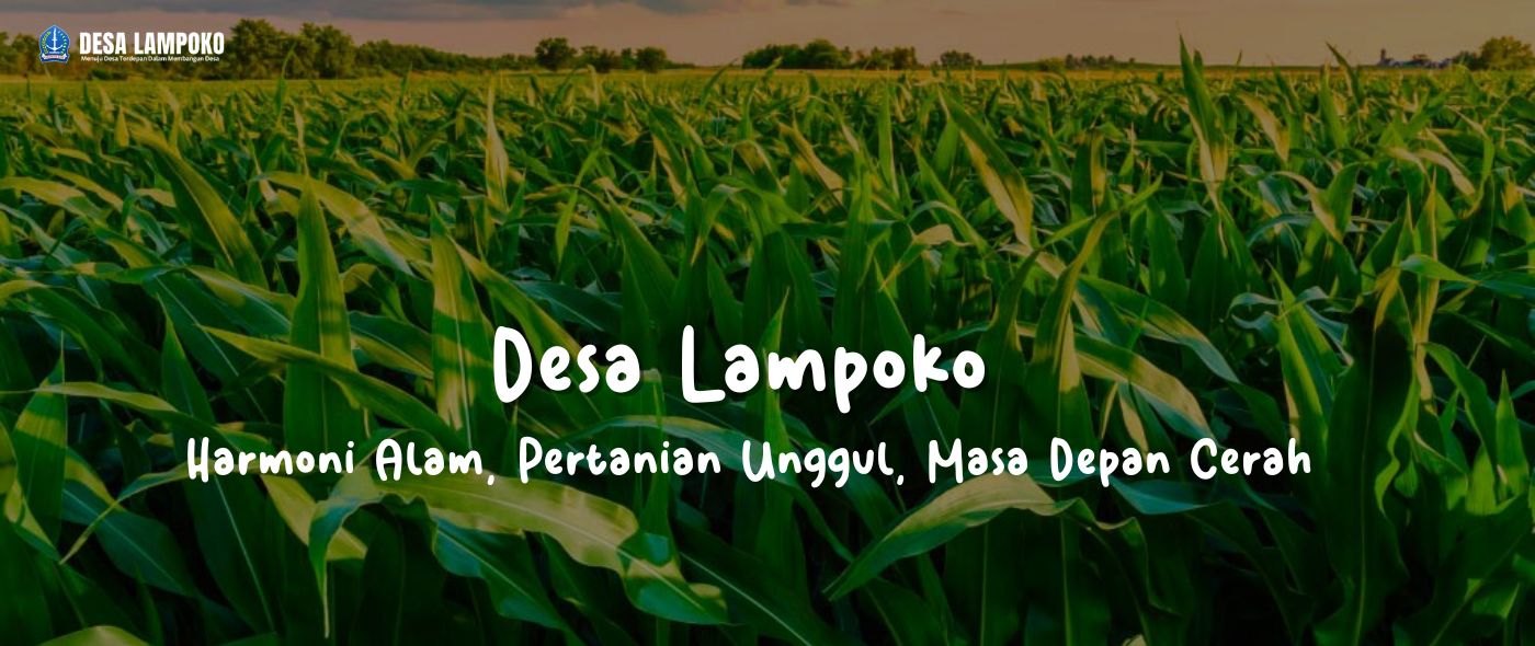 Profil Desa Lampoko, Kecamatan Barebbo, Kabupaten Bone