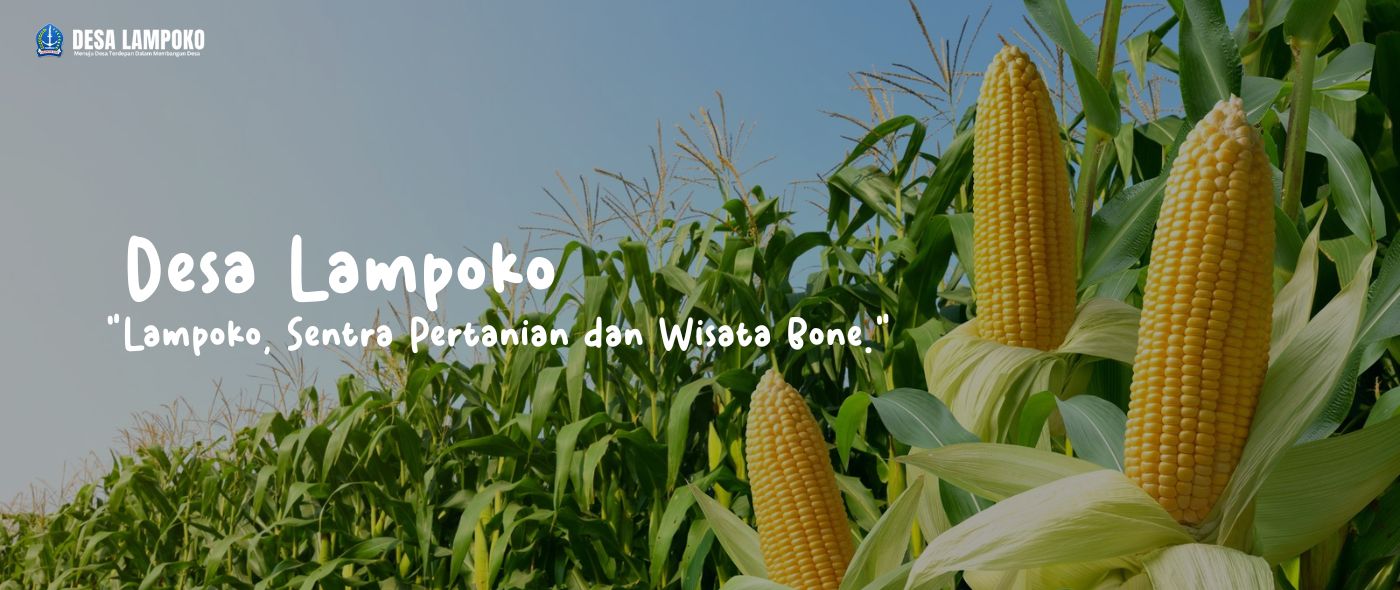 Profil Desa Lampoko, Kecamatan Barebbo, Kabupaten Bone